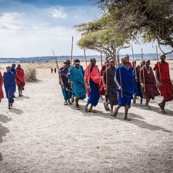 African Nation Are Strugling To Save Their Wildlife