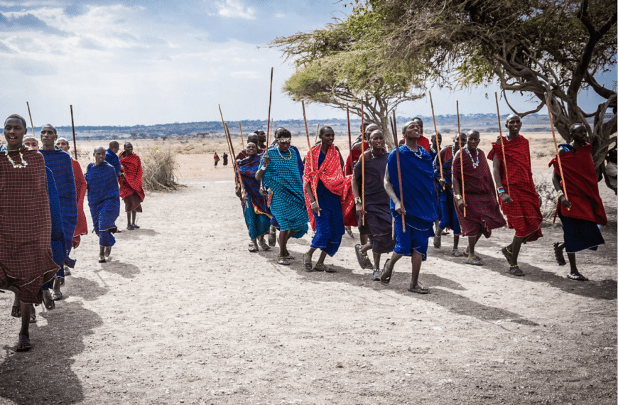 African Nation Are Strugling To Save Their Wildlife