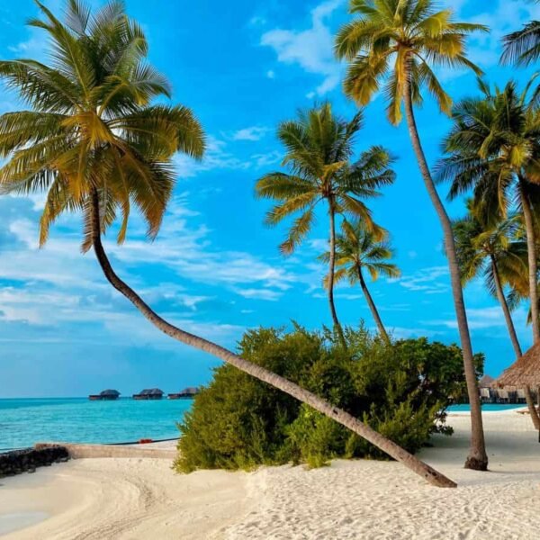 23 of the World’s Most Beautiful Beaches