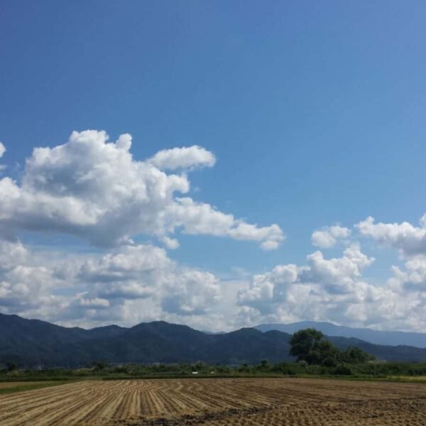 Extreme weather occurrences improved global weather.